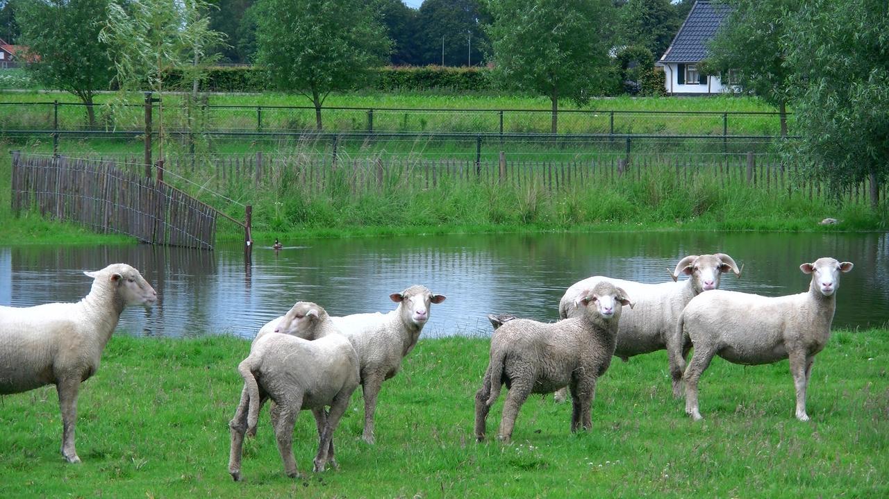 Bed and Breakfast De Turfstaeker Ospel Zewnętrze zdjęcie
